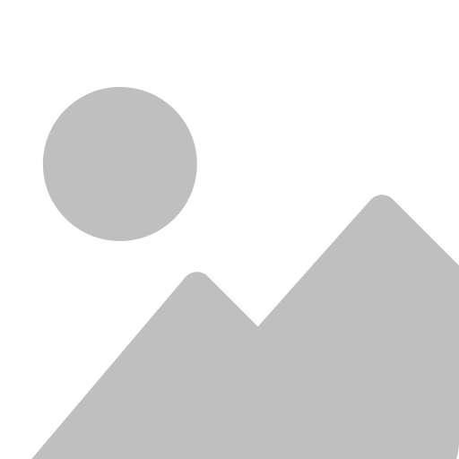 Borgerp – ERP Software & Business Management Solutions