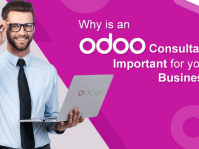 Odoo ERP Consultant