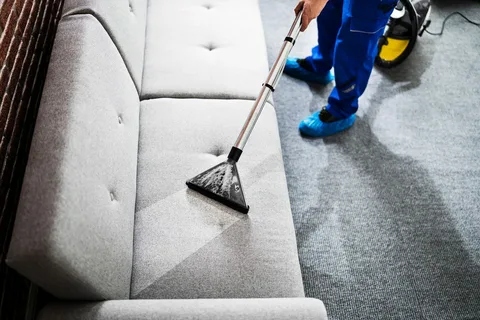 Couch Cleaning Prahran: Expert Upholstery Care