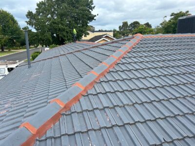Skylight Roofing