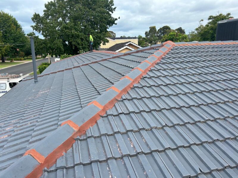 Skylight Roofing