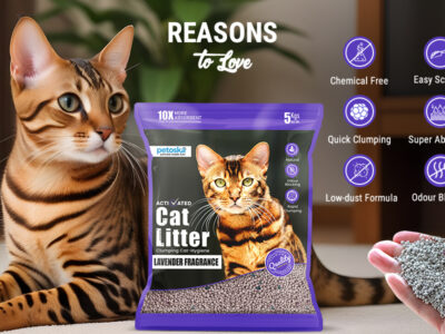 Cat Litter