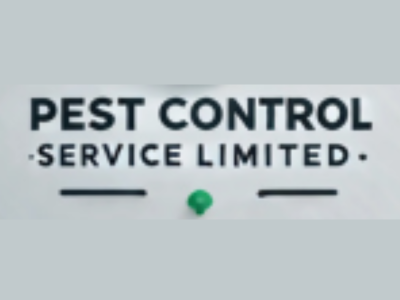 Pest Control in Azle TX Made Easy | Quick, Affordable Help