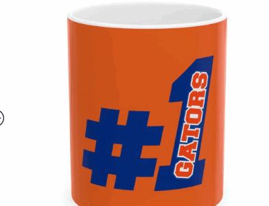 florida gators mug
