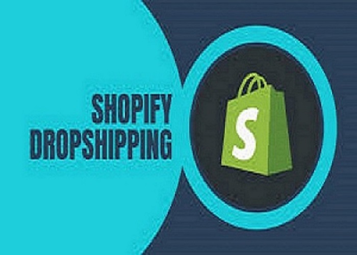 Beginners Ultimate Guide to Shopify Dropshipping in 2025