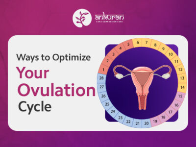 Top 10 Ways to Optimize Your Ovulation Cycle
