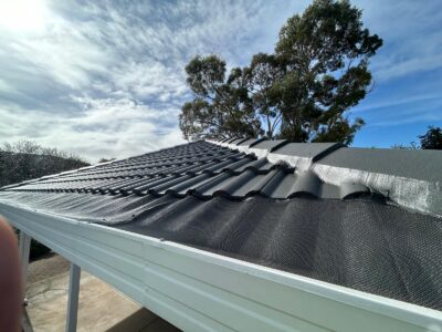 Skylight Roofing