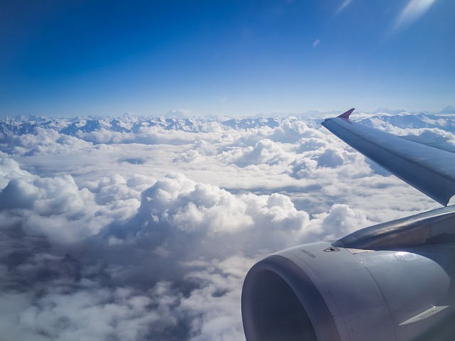 https://official-aeromexico-helpdesk1.odoo.com/knowledge/article/59