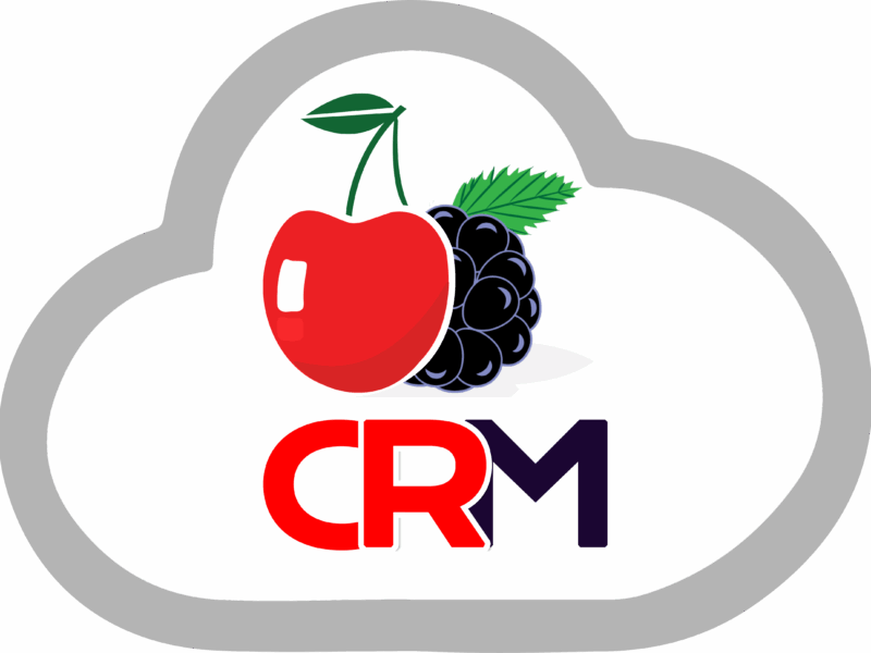 Customer Relationship Management Service