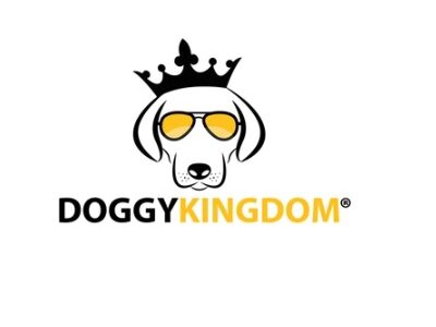 Shop Comfortable Dog Collars and Leashes for Everyday Use