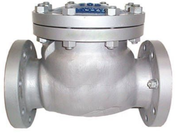 Hastelloy Check Valve