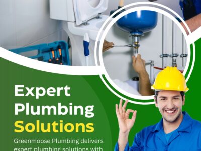 Complete Plumbing Repair Services Burnaby, Coquitlam – Green Moose Plumbing