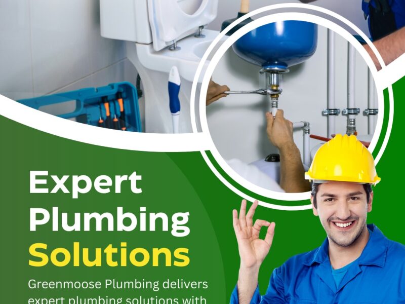 Complete Plumbing Repair Services Burnaby, Coquitlam – Green Moose Plumbing
