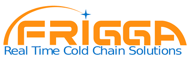Friggastecksol – Leading Digital Marketing Company in Noida