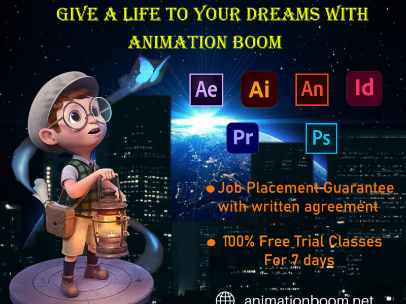 Animation Institute In Delhi, ANIMATION BOOM