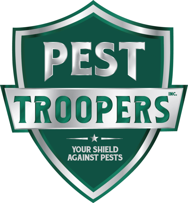 1fsCiUvKa0CuZOTkqG5fMuSUe8V3f0ADaXCdYuvmFGKeVnu0DBPAoE12hLDekgN8 768x829