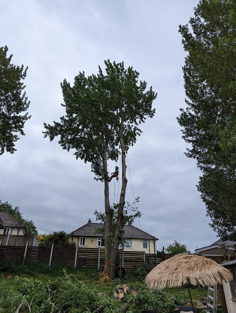 PXL 20230607 101234579.MP  768x1020