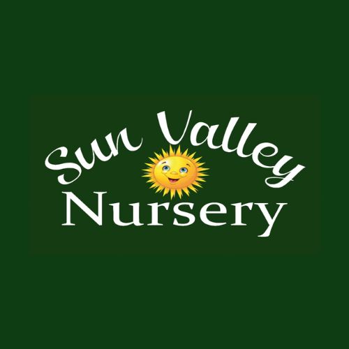 SUN VALLEY PROFILE PHOTO