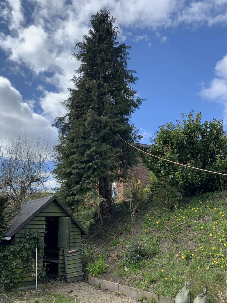 ef8ae4e6 b2e7 41e3 b8c2 75d3605e2e21 19 768x1024