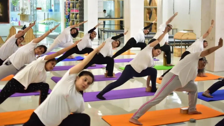 l52220241118104125 768x432