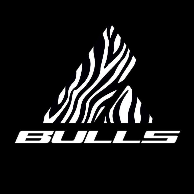 bulls LOGO1 768x768