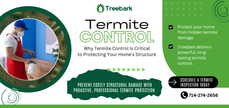 Termite control 768x363