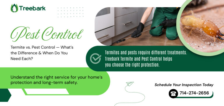 Termite control near me 768x363