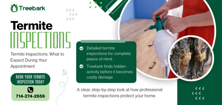 Termite inspections 768x363