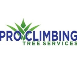 proclimbing logo 2 1