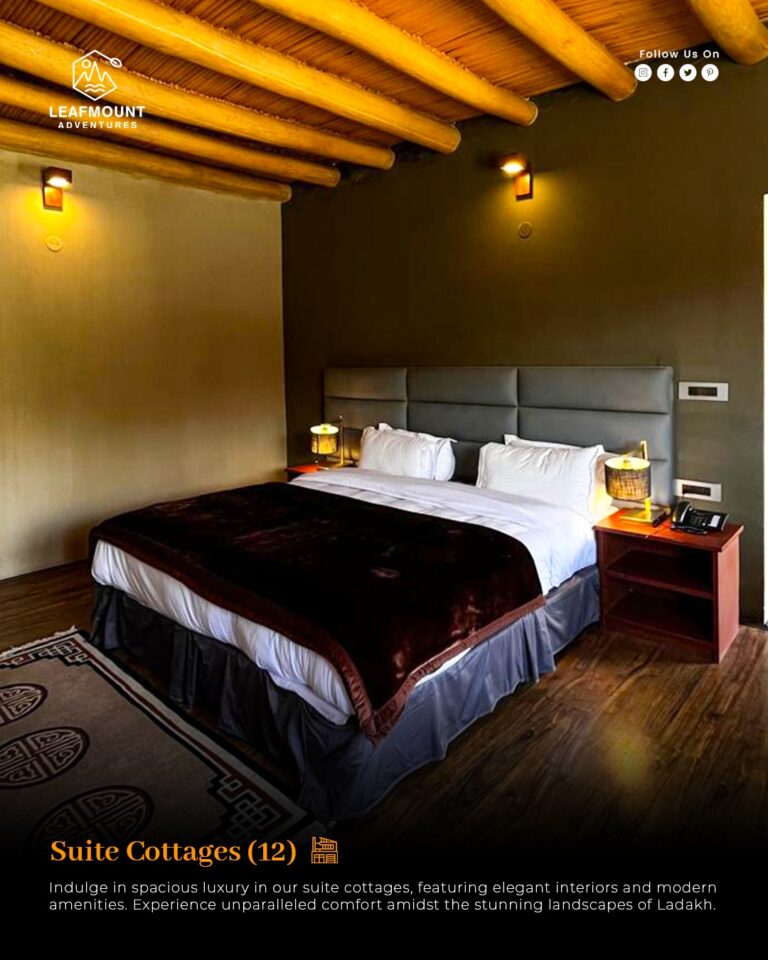 484447580 666812979193244 591269241421180789 n 768x960