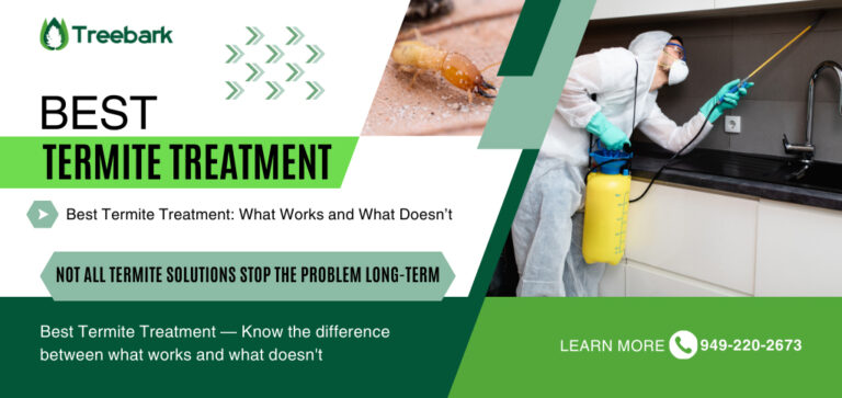 Best termite treatment 768x363