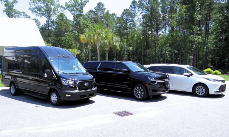 Palmetto Car Service 768x461
