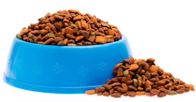 pet food market 768x402