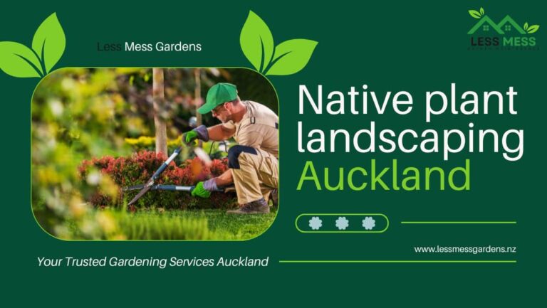 Native plant landscaping Auckland 768x433