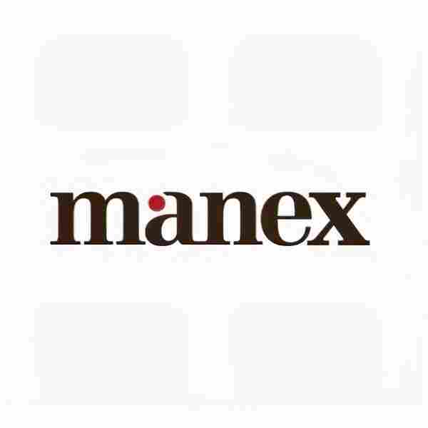 avatar manex logo