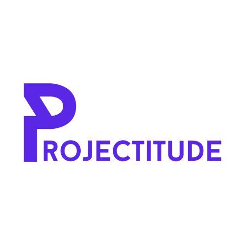projectitute logo